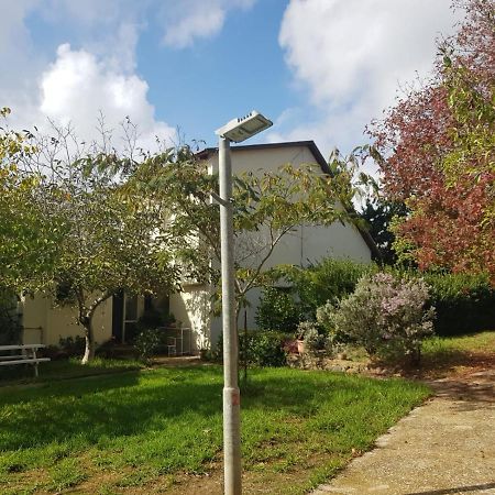 Apartament פינה חמה ברמה Ein Zivan Zewnętrze zdjęcie