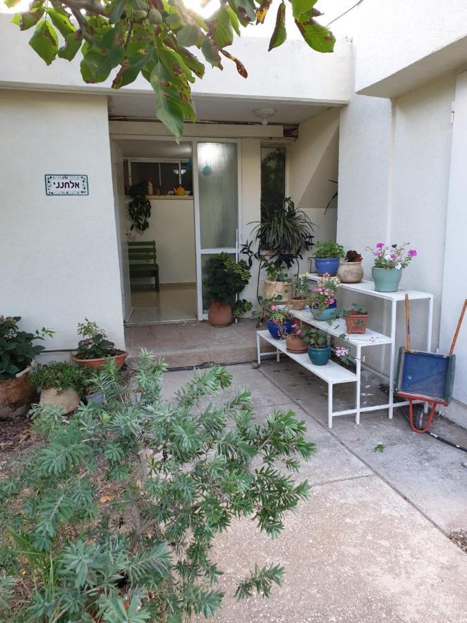 Apartament פינה חמה ברמה Ein Zivan Zewnętrze zdjęcie