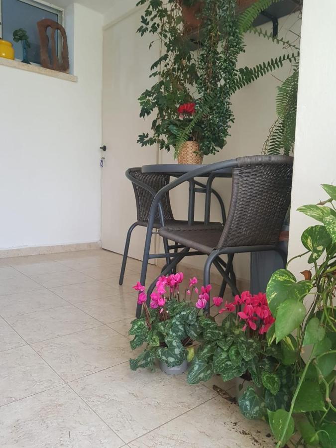 Apartament פינה חמה ברמה Ein Zivan Zewnętrze zdjęcie