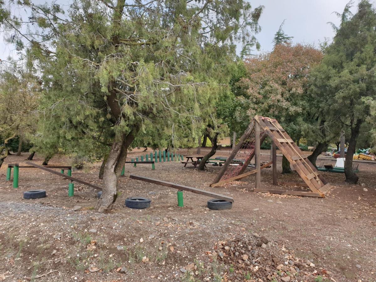 Apartament פינה חמה ברמה Ein Zivan Zewnętrze zdjęcie